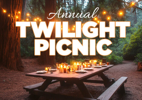 Annual Twilight Picnic