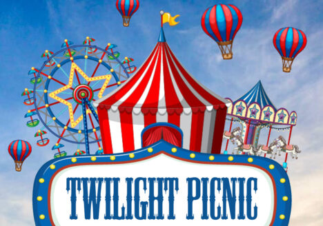 Twilight Picnic